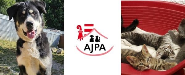 À gauche, un chien noir et blanc debout, la langue sortie. Au centre, le logo de l’AJPA, une association de protection animale, avec les silhouettes d’un chien et d’un chat. À droite, deux chats tigrés sont blottis ensemble dans un panier rouge.
