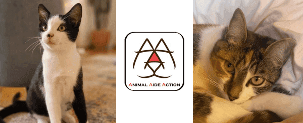 Animal Aide Action AAA.png