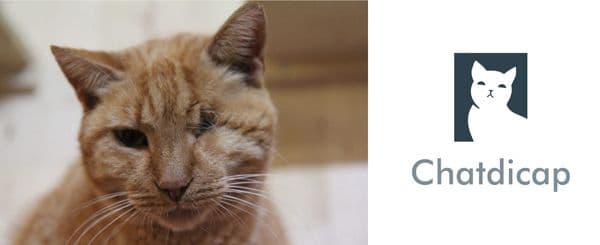 À gauche, un chat roux avec un œil manquant regarde l’objectif. À droite, le logo de l’association Chatdicap, représentant la silhouette d’un chat blanc sur fond bleu, accompagné du nom de l’association.