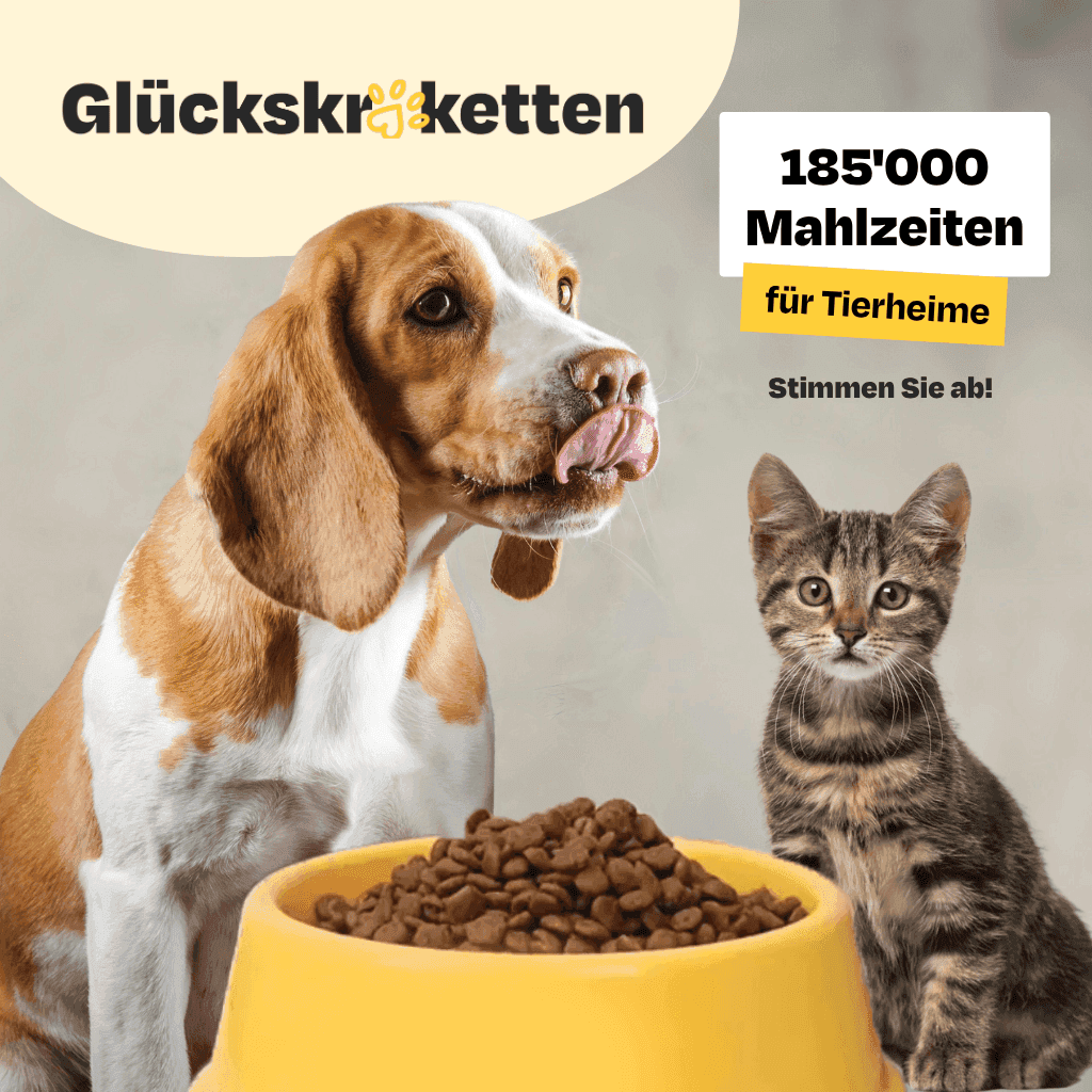Glückskroketten.png