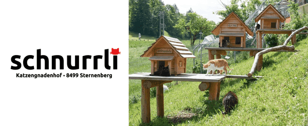Katzengnadenhof Schnurrli (1).png