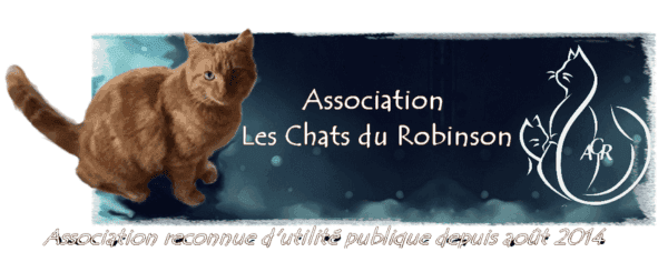Les chats du Robinson.png