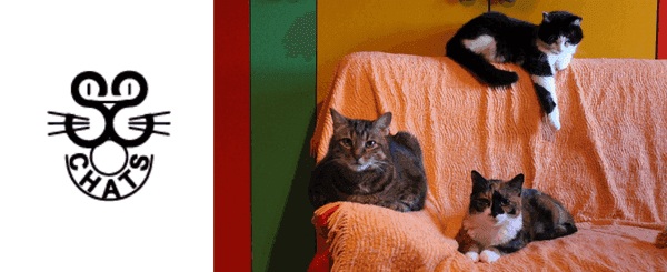 SOS chats.png