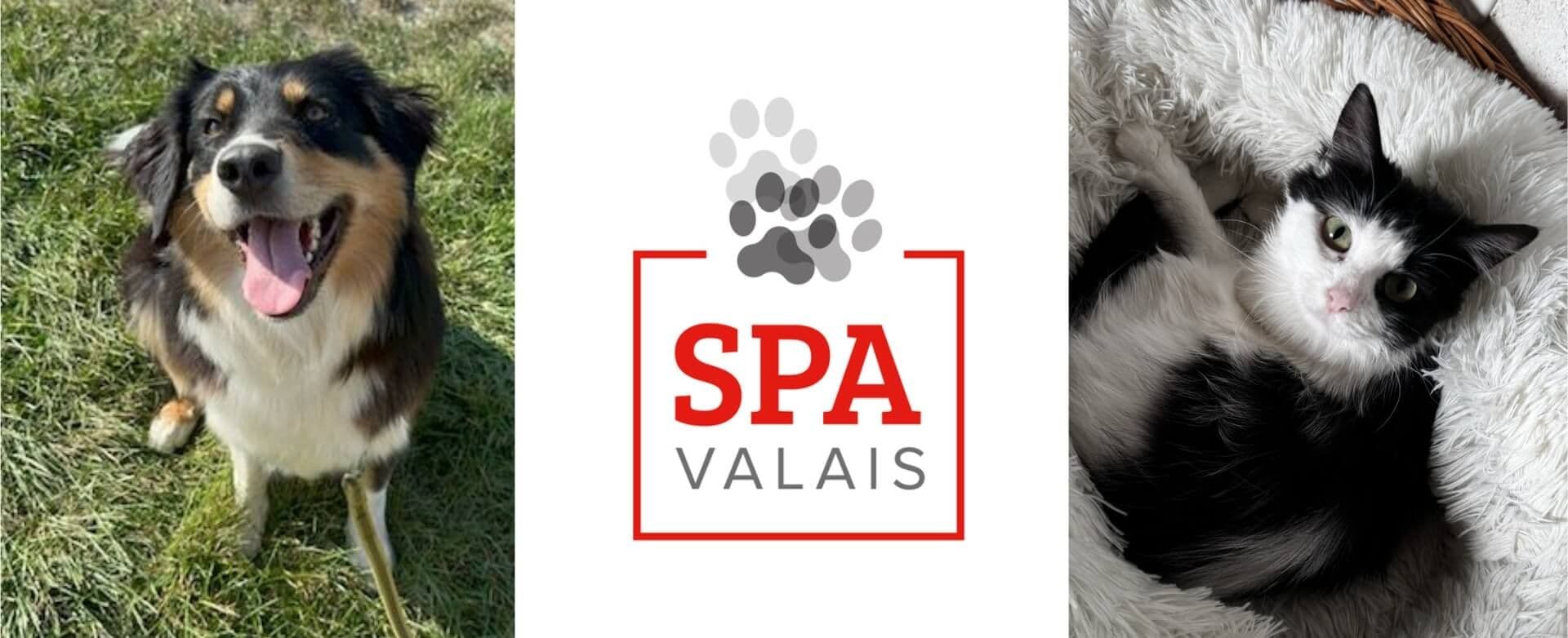À gauche, un chien noir, blanc et feu tire la langue assis dans l’herbe. Au centre, le logo de la SPA Valais avec des empreintes de pattes et le nom en rouge et gris. À droite, un chat noir et blanc repose dans un panier moelleux.