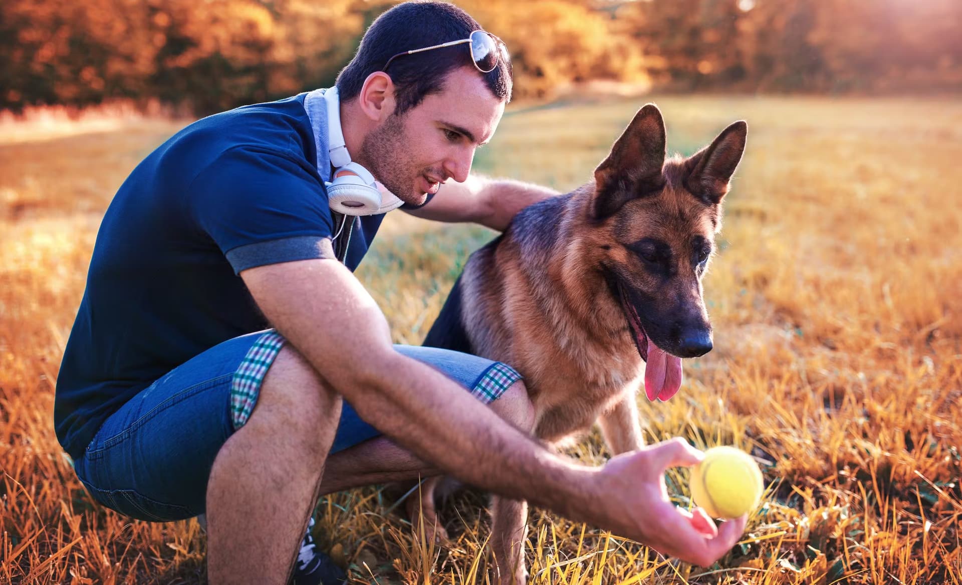 un homme et son chien qui jouent à la balle dans une clairière