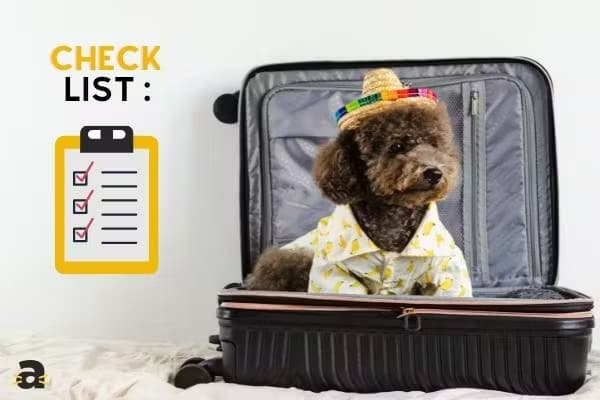Check list vacances chien, chien dans assis dans une valise
