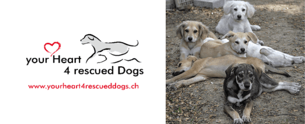 yourheart4rescueddogs.png