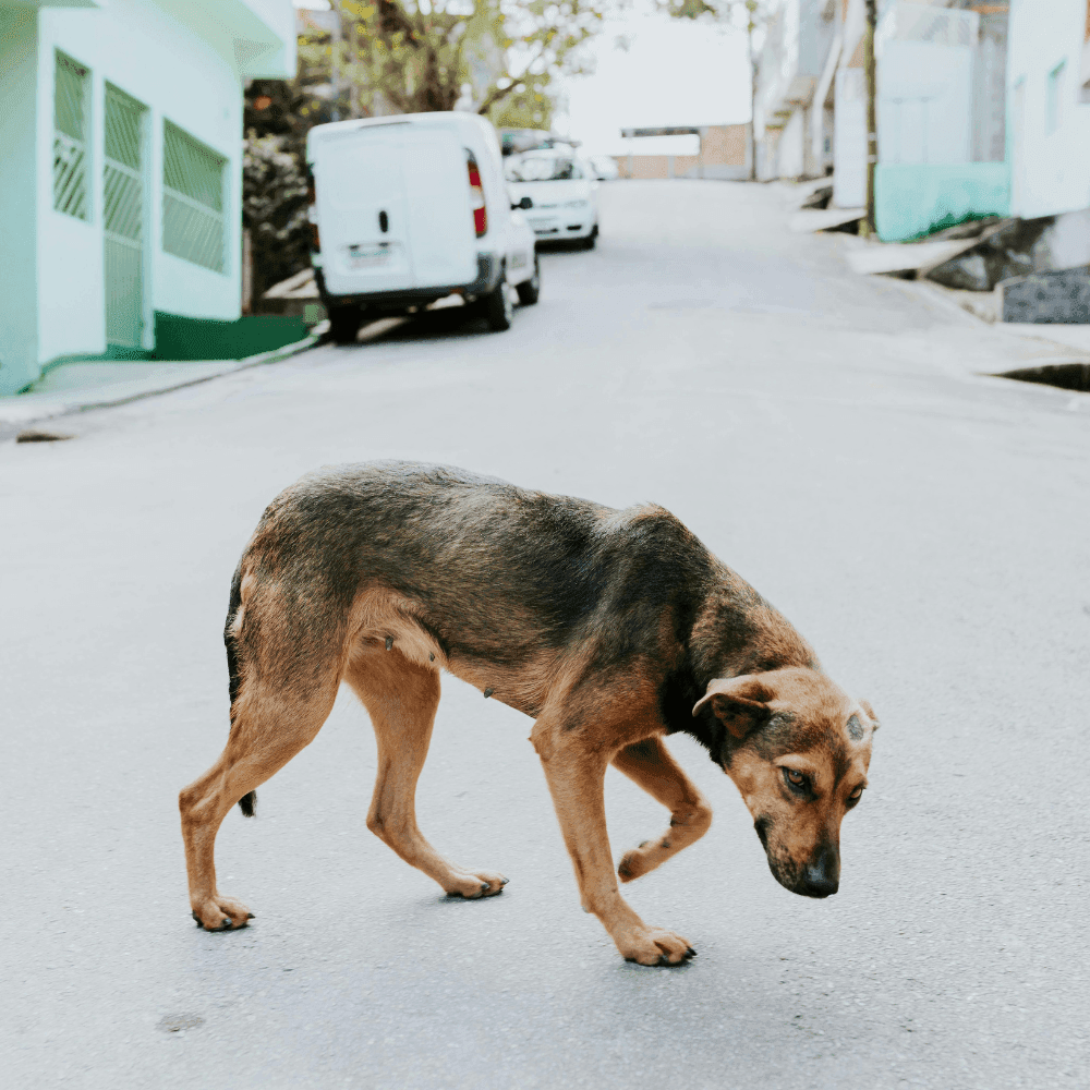 Photo_articles_blog_1080x1080 (1).png